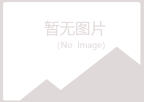 马山县忆山工程有限公司